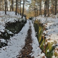 Mšenské bludiště