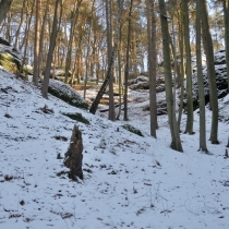 Mšenské bludiště