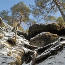 Mšenské bludiště