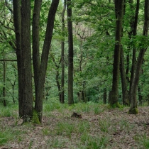 Panská skála (Horní Požáry)