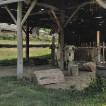 Archeoskanzen Modrá