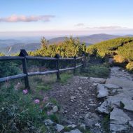 babia-gora_50