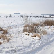 barokni-sypka-kounice_05