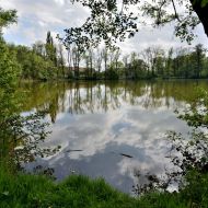 barokni-sypka-u-kounic_07