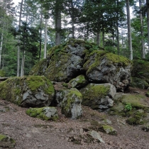 Tierpark Bayerischer Wald