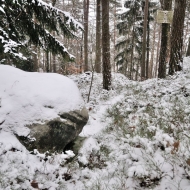 Les u Besedic pod sněhem