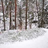 Besedické skály pod sněhem