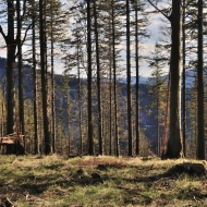 Výhled na Beskydy cestou z Ropice a Ropičky