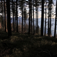 Výhled na Beskydy cestou z Ropice a Ropičky