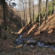 Beskydy - Cestou na Tanečnici