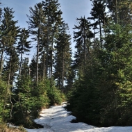 Beskydy - Cestou na Tanečnici