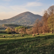 Beskydy - Ondřejník cestou z Malé Stolové