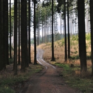 Cesta z Visalají na Lysou horu