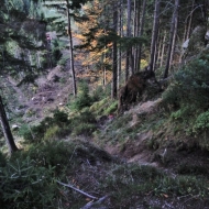 Strmé stoupání hraniční cestou na Súľov v Beskdech