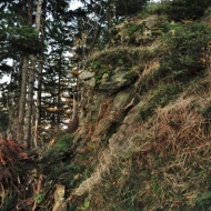 Skály pod vrcholem Súľova