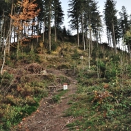 Strmé stoupání na Súľov podél hranice mimo turistickou značku