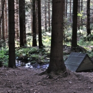 Pařezová studánka v Beskydech