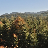 Výhled do kraje  na cyklotrase ze Starých Hamrů na Bílý Kříž