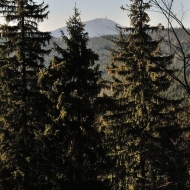 bily-kriz-sulov_06