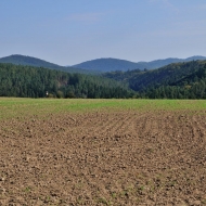 Pohled na Křivoklátsko