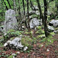 vodopad-boka_11
