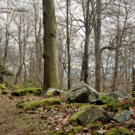 hrebeny_07
