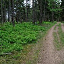 Brdy