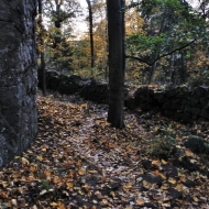 Zřícenina hradu Valdek v Brdech