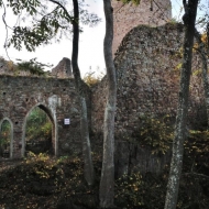 Zřícenina hradu Valdek v Brdech