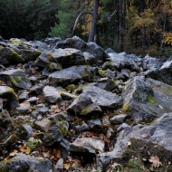 Kameny u zříceniny hradu Valdek