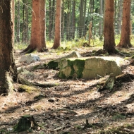 Les a kameny v Brdech u Obecnice