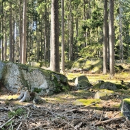 Les a kameny v Brdech u Obecnice