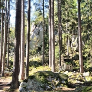 Brdy - pod vrcholem Klobouček