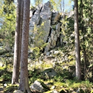Brdy - pod vrcholem Klobouček