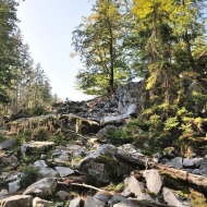 Brdy - pod vrcholem Klobouček