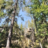 Brdy - pod vrcholem Klobouček