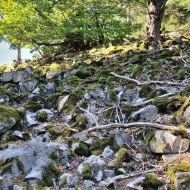 Brdy -  vrchol Klobouček