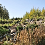 Brdy -  vrchol Klobouček
