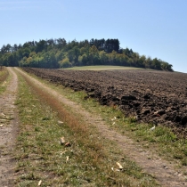 Břístevská hůra