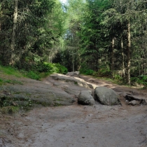 Broumovské skály