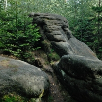 Broumovské skály