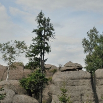 Broumovské skály - Želva