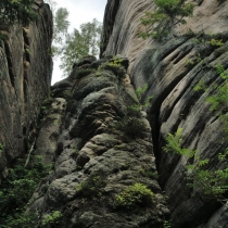 Broumovské skály
