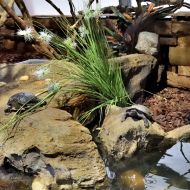 budapest-tropicarium_07