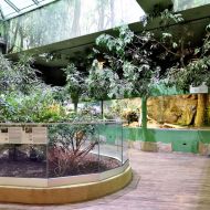 budapest-tropicarium_11
