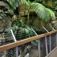 budapest-tropicarium_13