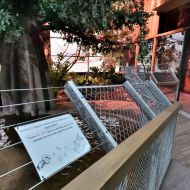 budapest-tropicarium_14