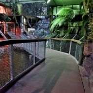 budapest-tropicarium_17