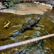 budapest-tropicarium_18