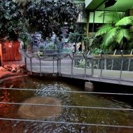 budapest-tropicarium_19